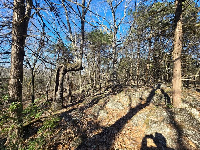 14117 Hogeye Road, Prairie Grove, AR 72753