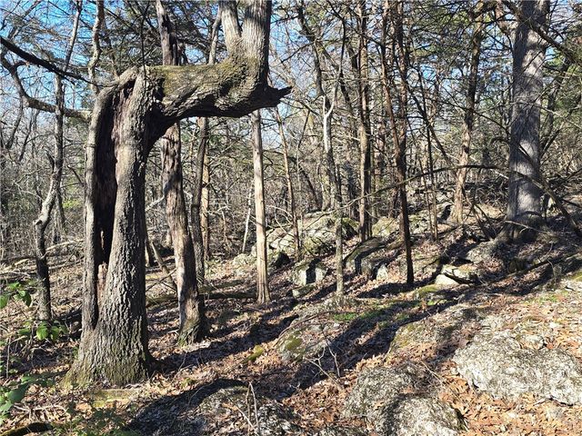 14117 Hogeye Road, Prairie Grove, AR 72753