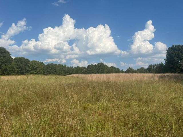 5210 County Road 5490, Willow Springs, MO 65793