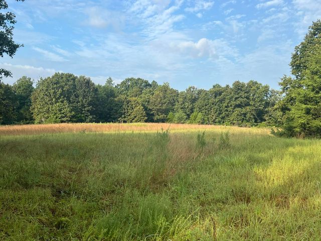 5210 County Road 5490, Willow Springs, MO 65793