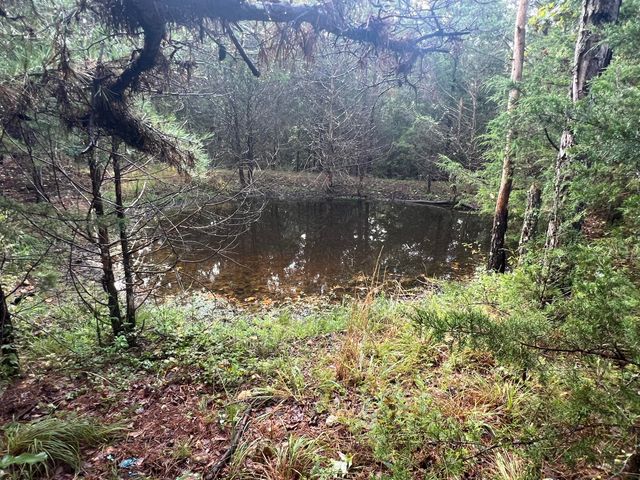 5210 County Road 5490, Willow Springs, MO 65793