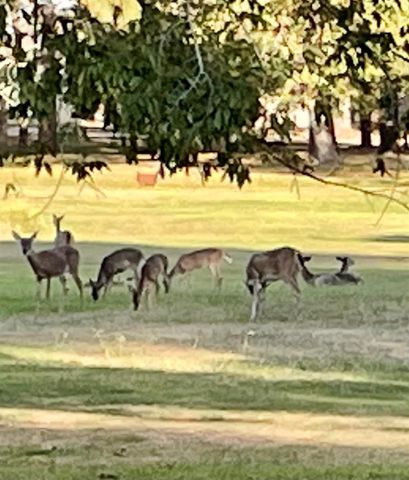 42 Trail Lake, Trinity, TX 75862