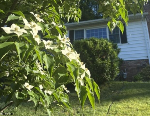9 Harrison Ct, Summit City, NJ 07901