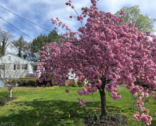 9 Harrison Ct, Summit City, NJ 07901