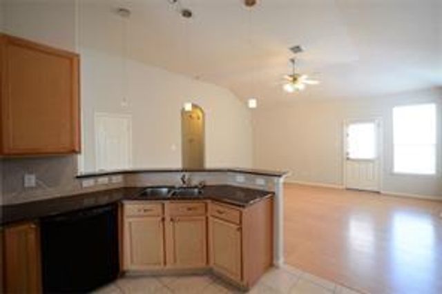 25202 Diamond Ranch Drive, Katy, TX 77494