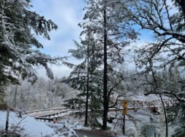 261 & 271 Salt Flat Road, Lewiston, CA 96052