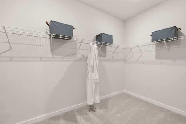 1142 Essem Drive, Murfreesboro, TN 37130