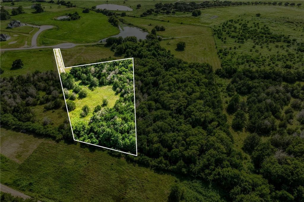 1544 Bluebonnet Ridge Drive, Chappell Hill, TX 77426