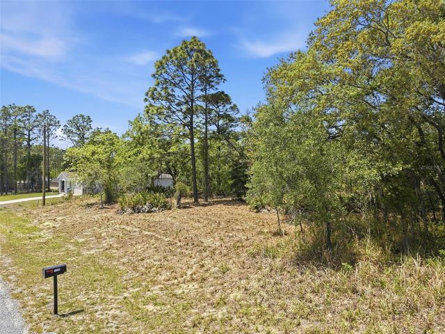 Lot 25 THRASHER AVENUE, Weeki Wachee, FL 34614