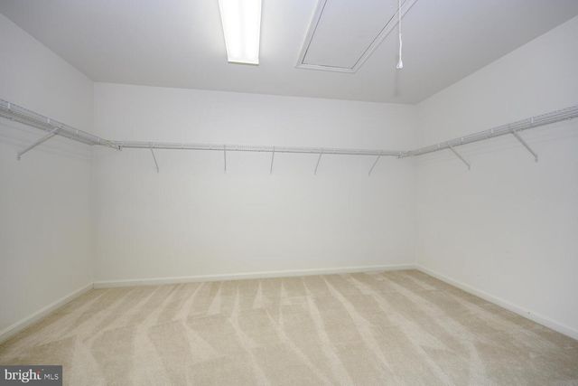 142 HARMONY WAY, Centreville, MD 21617