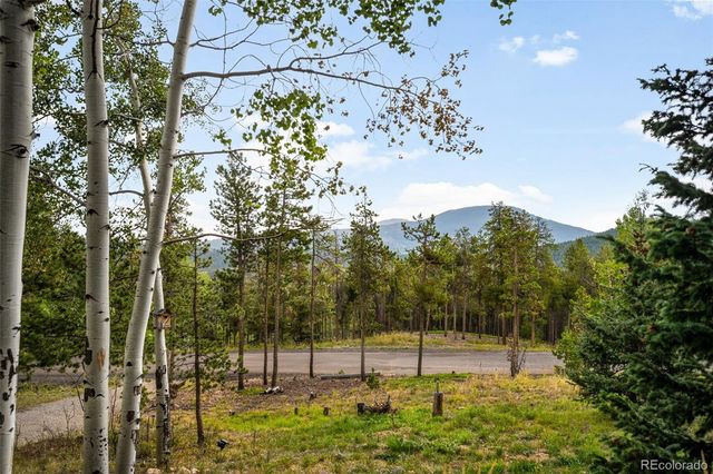 8511 S Warhawk Road, Conifer, CO 80433