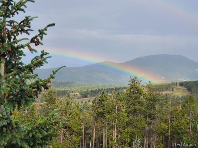8511 S Warhawk Road, Conifer, CO 80433