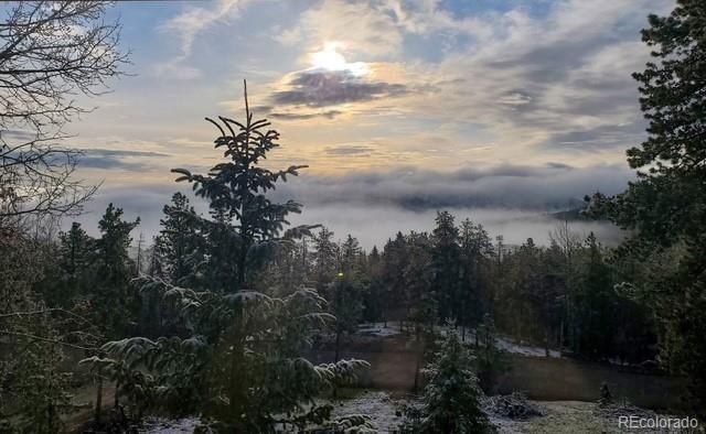 8511 S Warhawk Road, Conifer, CO 80433
