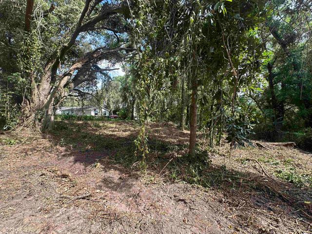 0 Longhorn Drive, Tallahassee, FL 32311