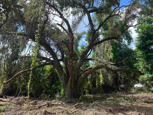 0 Longhorn Drive, Tallahassee, FL 32311