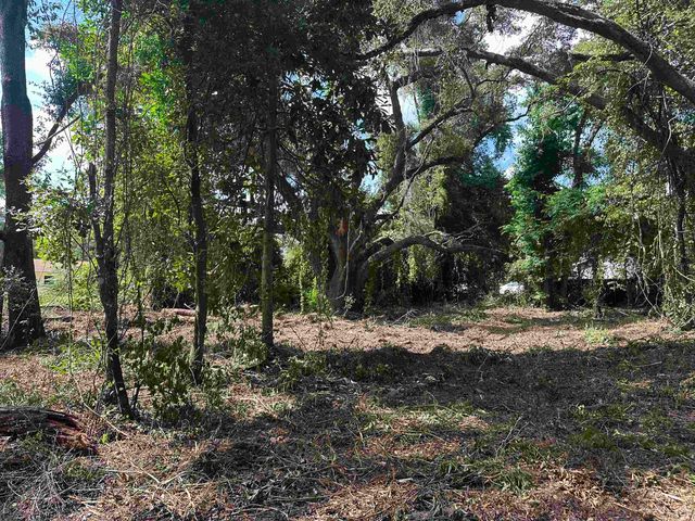 0 Longhorn Drive, Tallahassee, FL 32311