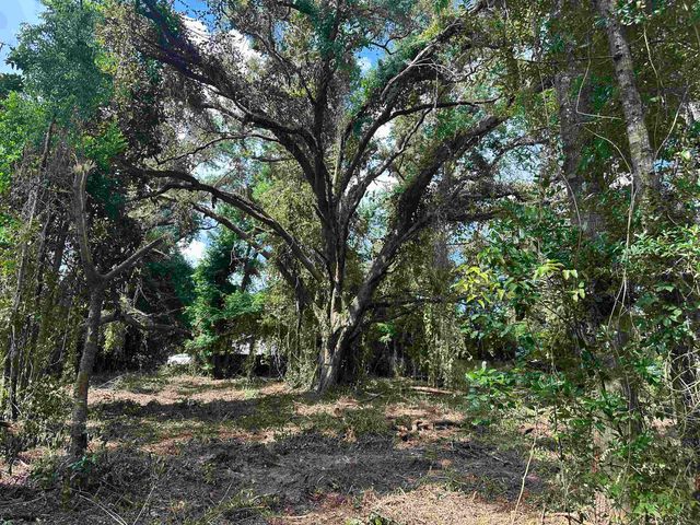0 Longhorn Drive, Tallahassee, FL 32311