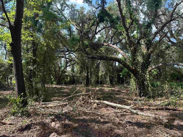 0 Longhorn Drive, Tallahassee, FL 32311