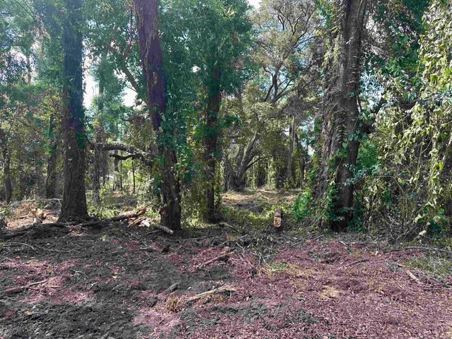 0 Longhorn Drive, Tallahassee, FL 32311