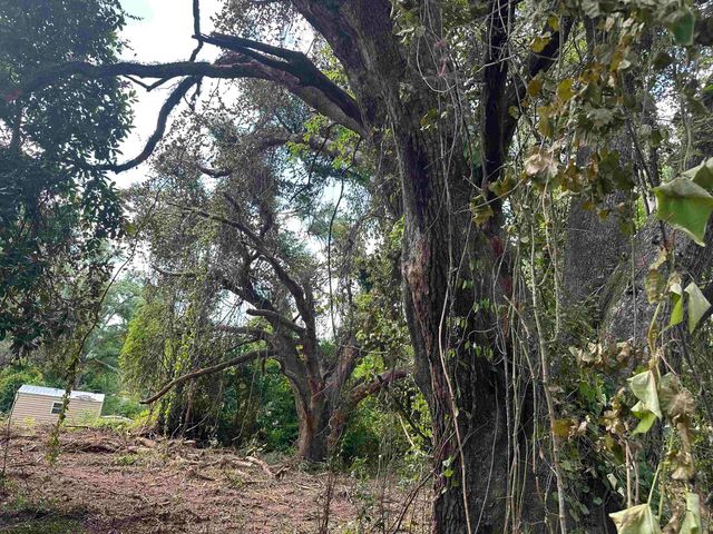 0 Longhorn Drive, Tallahassee, FL 32311