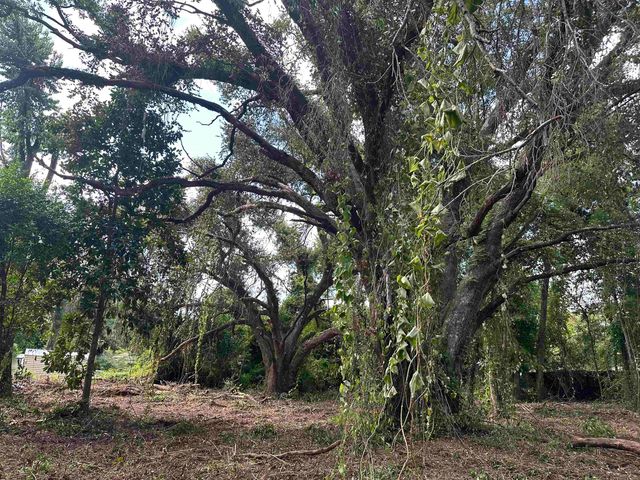 0 Longhorn Drive, Tallahassee, FL 32311