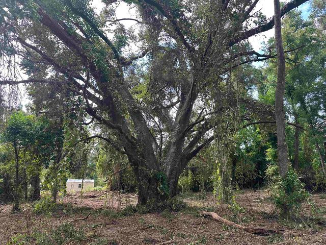 0 Longhorn Drive, Tallahassee, FL 32311