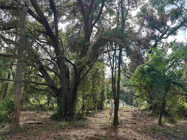 0 Longhorn Drive, Tallahassee, FL 32311