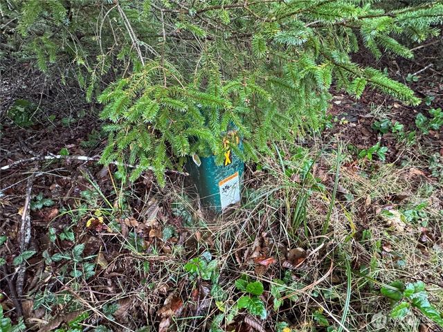 682 Copalis Avenue NE, Ocean Shores, WA 98569