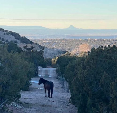 11 Tres Amigos Road, Placitas, NM 87043
