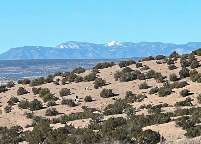 11 Tres Amigos Road, Placitas, NM 87043