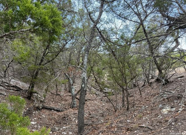 898 Mountain View Lane, Pipe Creek, TX 78063