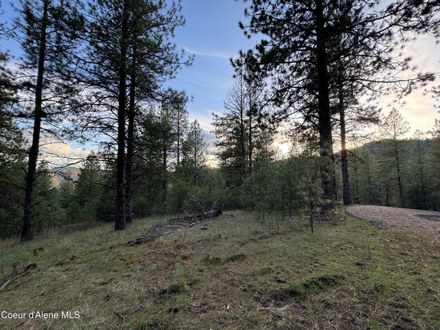 NKA(Lot 3) Baby Cougar Lane, Coeur d'Alene, ID 83815 property photo