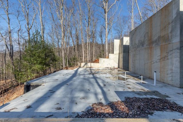 168 Buckskin Drive, Cherry Log, GA 30522