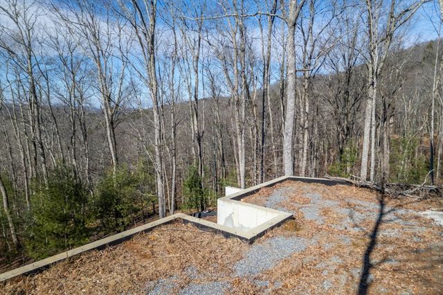 168 Buckskin Drive, Cherry Log, GA 30522