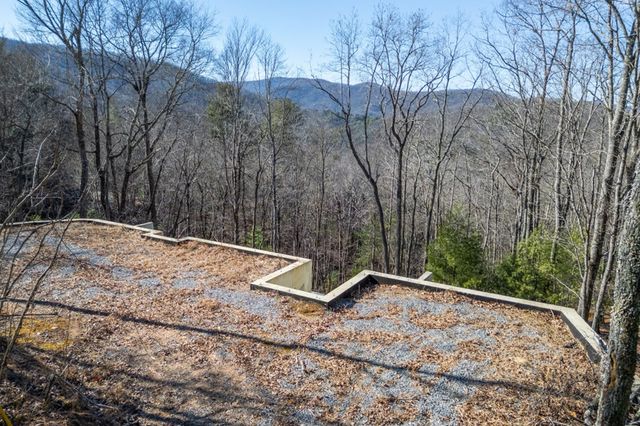 168 Buckskin Drive, Cherry Log, GA 30522