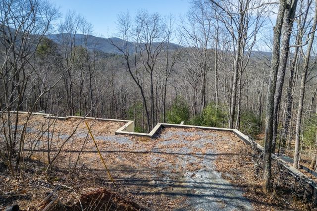 168 Buckskin Drive, Cherry Log, GA 30522