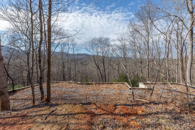 168 Buckskin Drive, Cherry Log, GA 30522