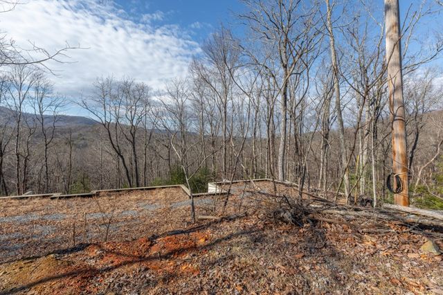 168 Buckskin Drive, Cherry Log, GA 30522