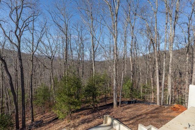 168 Buckskin Drive, Cherry Log, GA 30522