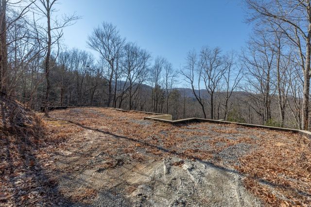 168 Buckskin Drive, Cherry Log, GA 30522