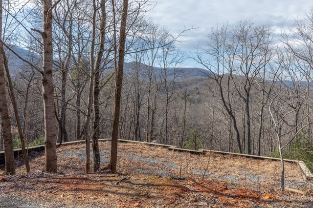 168 Buckskin Drive, Cherry Log, GA 30522