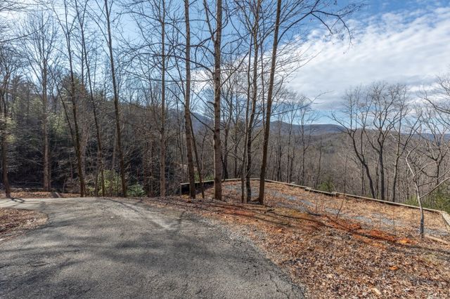 168 Buckskin Drive, Cherry Log, GA 30522