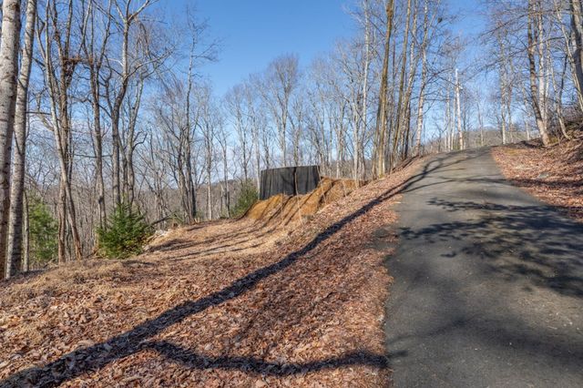 168 Buckskin Drive, Cherry Log, GA 30522