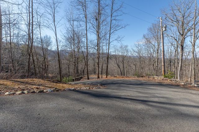 168 Buckskin Drive, Cherry Log, GA 30522