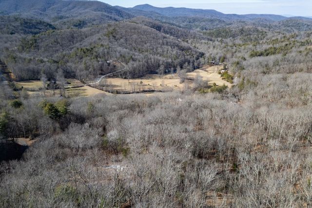 168 Buckskin Drive, Cherry Log, GA 30522