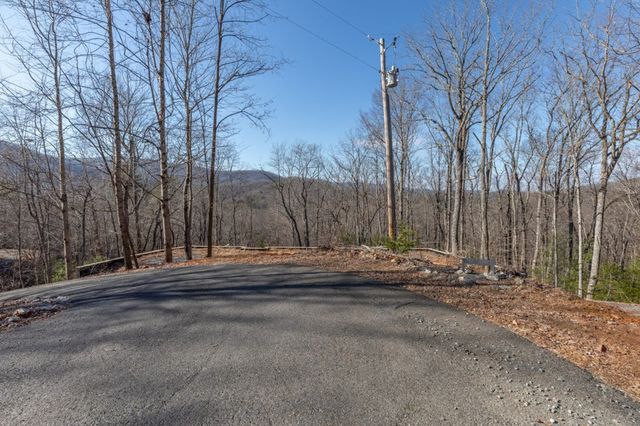 168 Buckskin Drive, Cherry Log, GA 30522