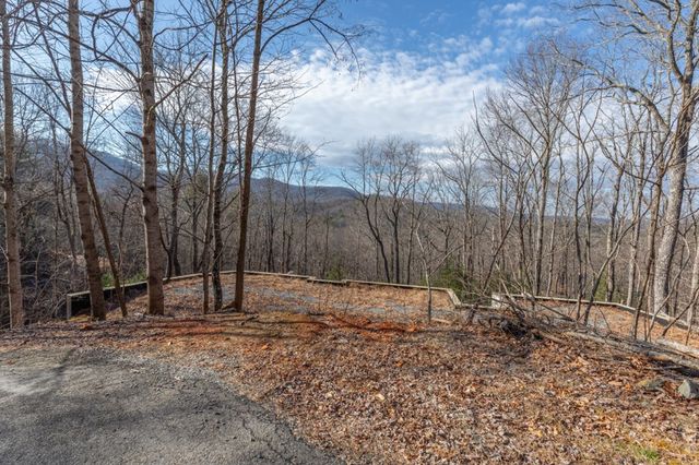 168 Buckskin Drive, Cherry Log, GA 30522