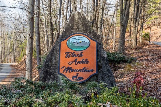 168 Buckskin Drive, Cherry Log, GA 30522