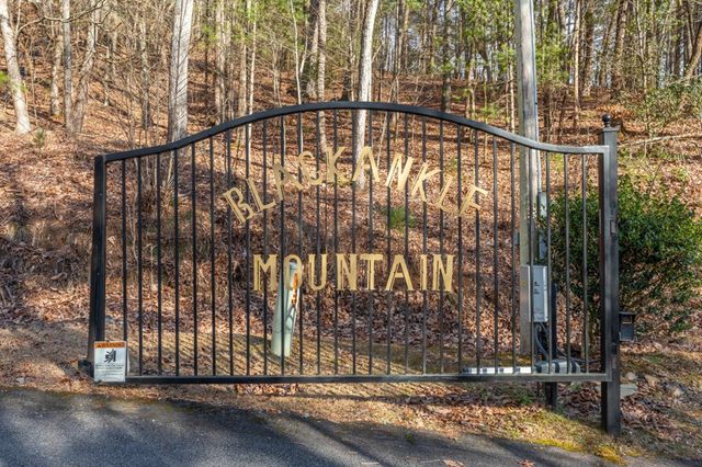 168 Buckskin Drive, Cherry Log, GA 30522