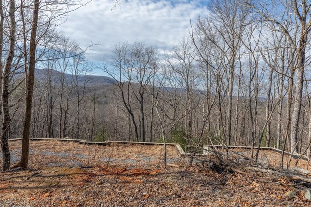 168 Buckskin Drive, Cherry Log, GA 30522